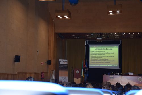 dsc 0043 23715703746 l