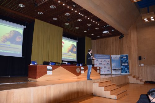 dsc 0049 23113629234 l