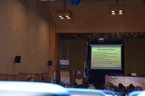 dsc 0043 23715703746 l