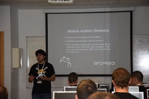 dsc 0095 31581196641 l