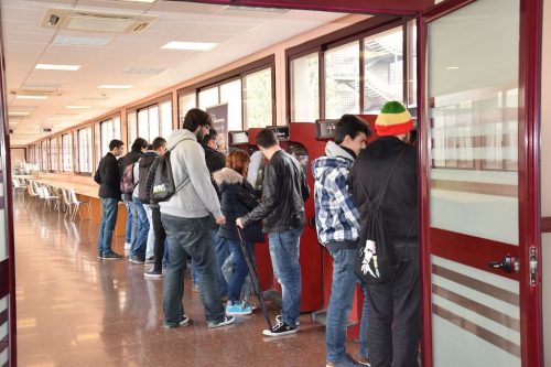 dsc 0195 30854975264 l