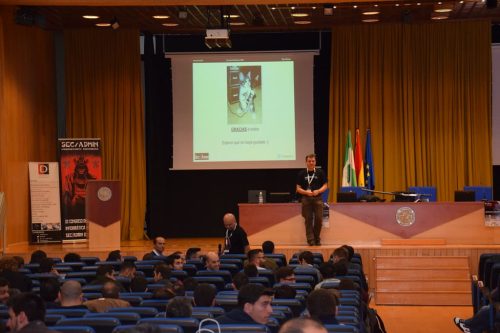 dsc 0271 31324098920 l