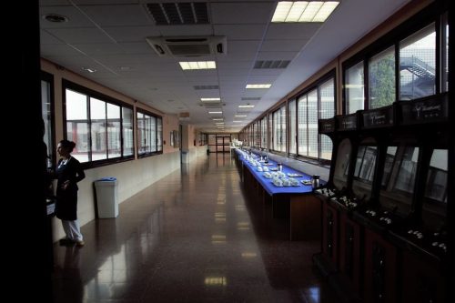 zone-fsociety 30420419874 l