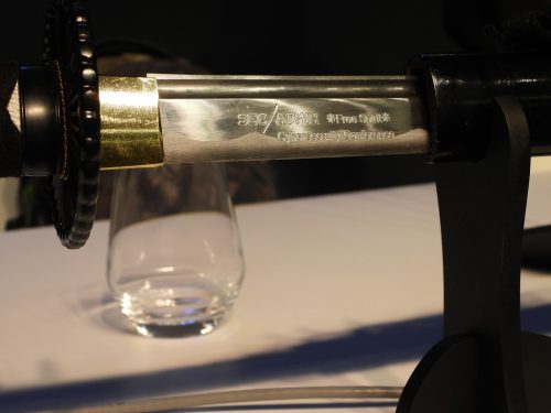 dscn0471 49132548108 l