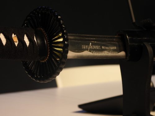 dscn0474 49132553568 l