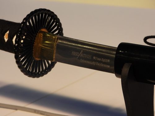 dscn0478 49133231997 l