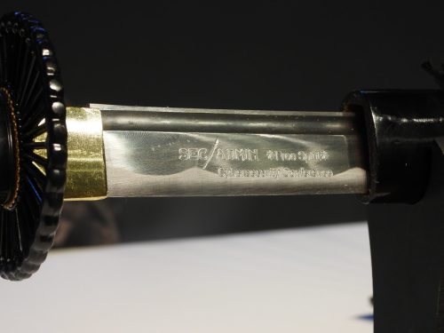 dscn0479 49132550343 l